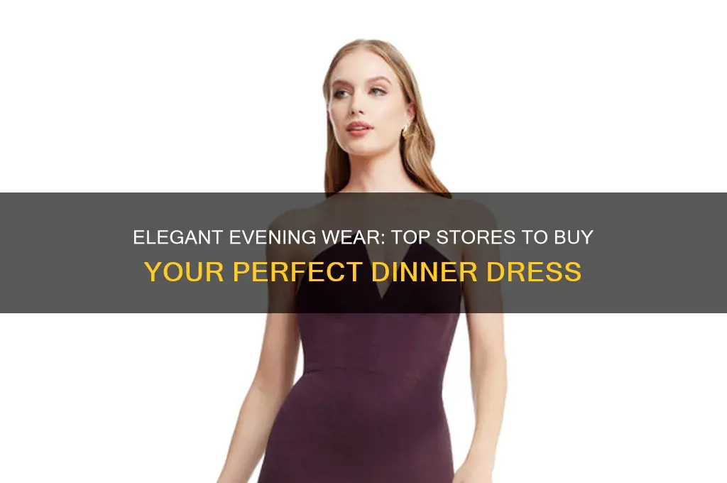 where to buy dinner dress