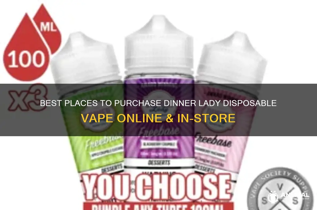 where to buy dinner lady disposable vape