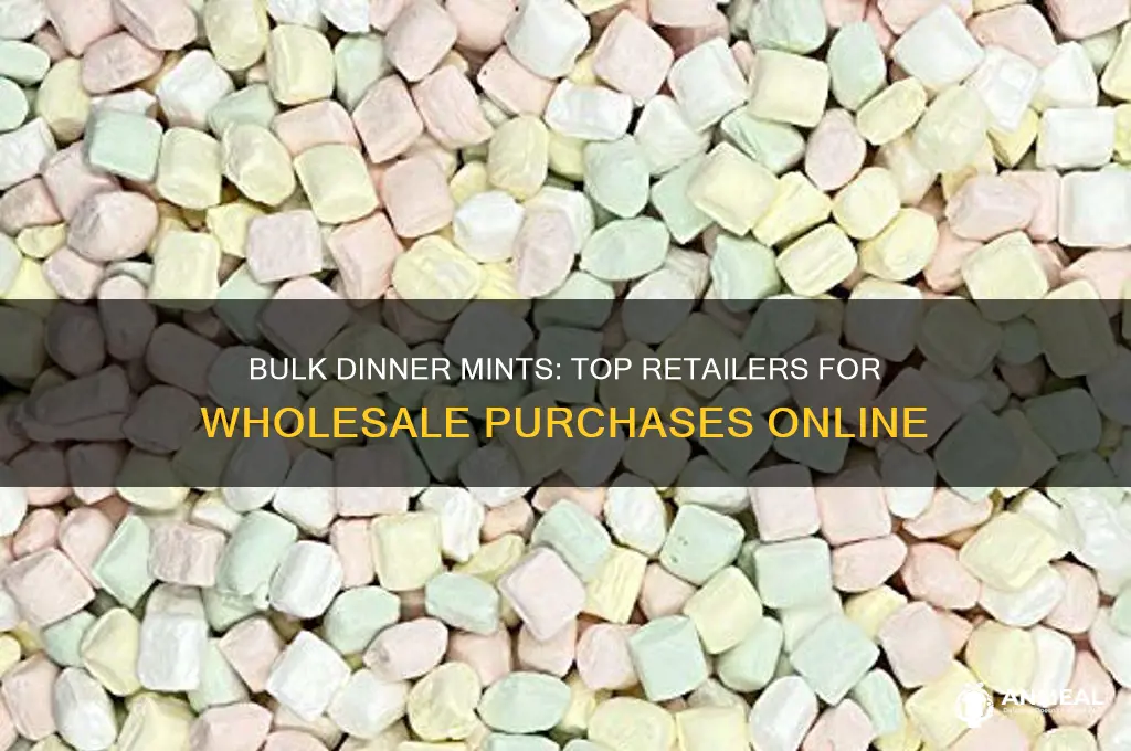 where to buy dinner mints in bulk