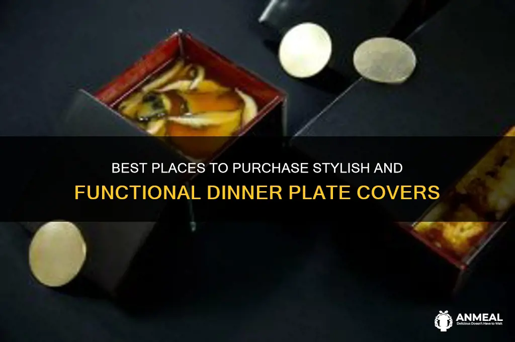 where to buy dinner plate covers