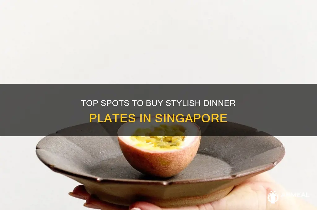 where to buy dinner plates in singapore