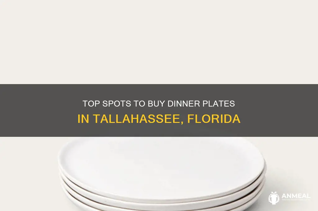 where to buy dinner plates in tallahassee florida