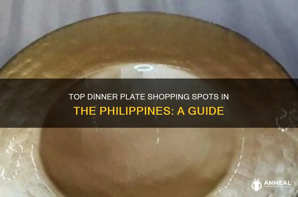 where to buy dinner plates in the philippines