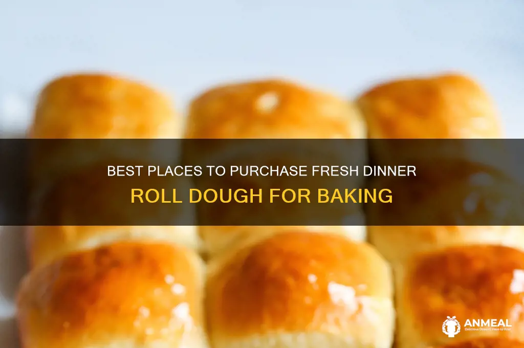 where to buy dinner roll dough