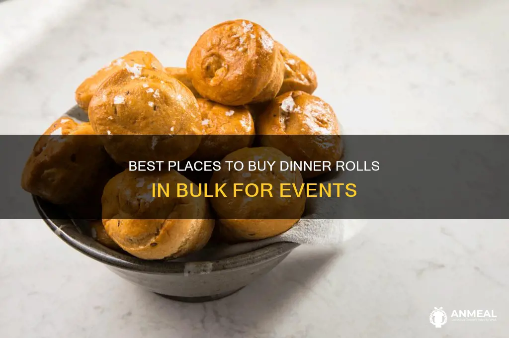 where to buy dinner rolls in bulk