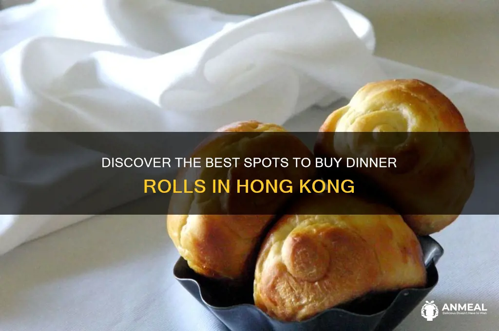 where to buy dinner rolls in hk