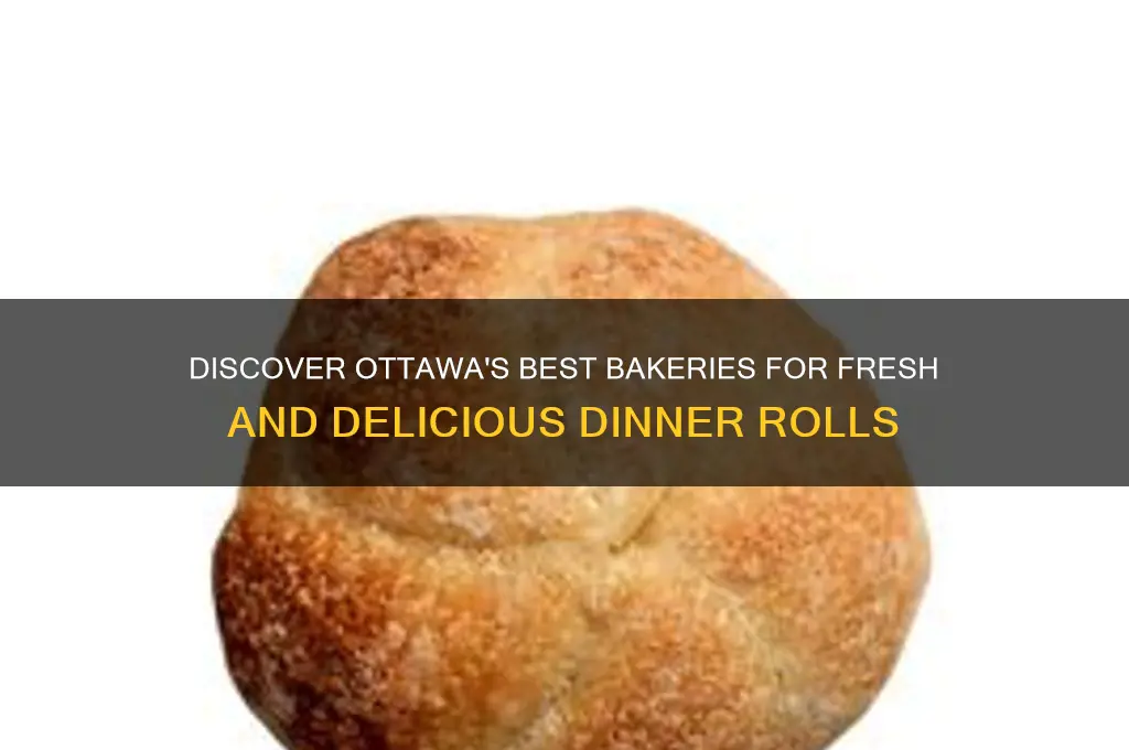 where to buy dinner rolls in ottawa