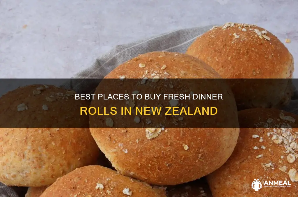where to buy dinner rolls nz
