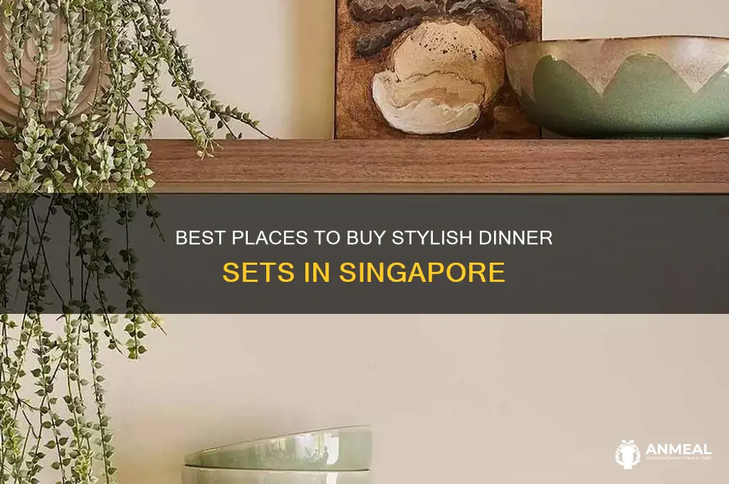 where to buy dinner set in singapore
