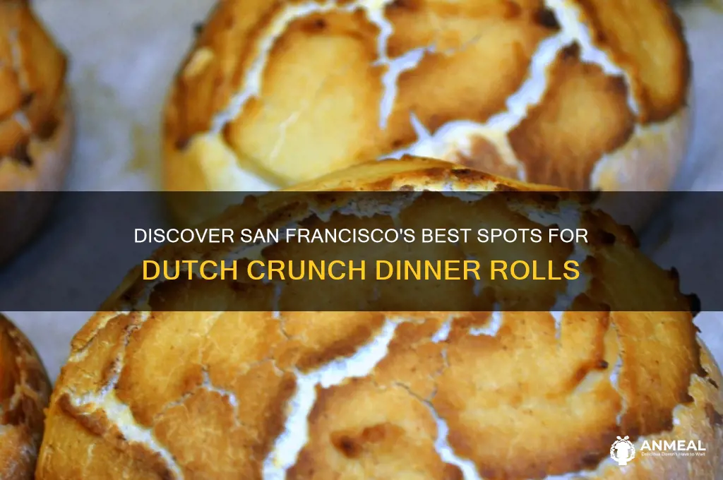where to buy dutch crunch dinner rolls in san francisco