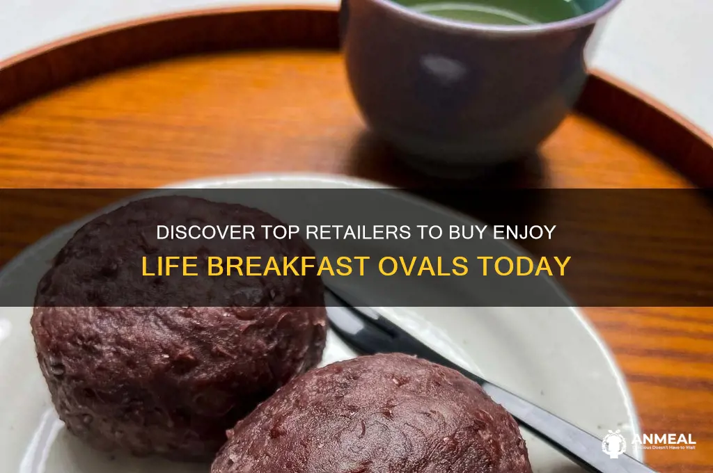 where to buy enjoy life breakfast ovals
