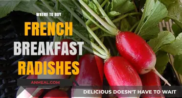 Discover the Best Places to Buy French Breakfast Radishes