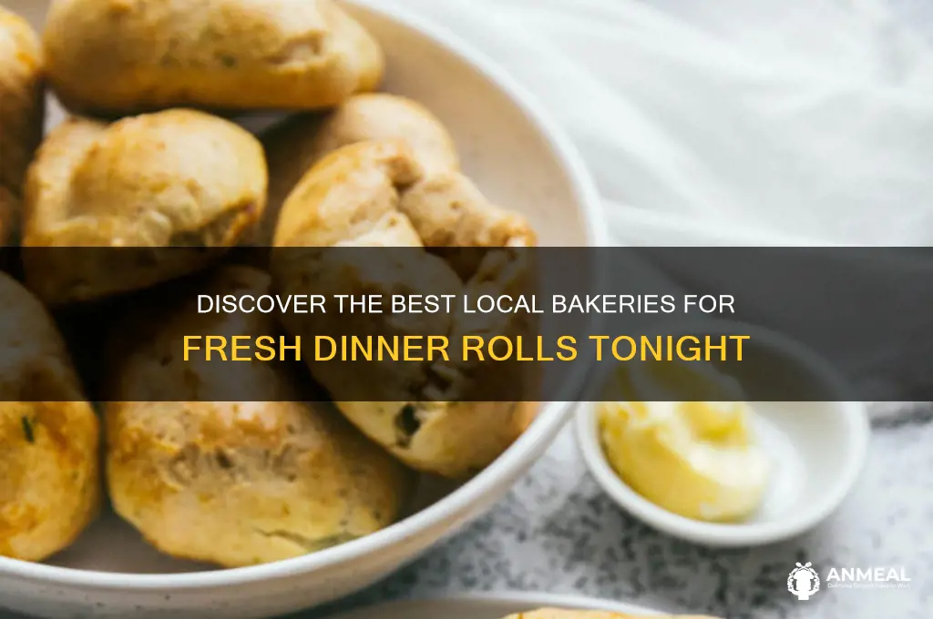 where to buy fresh dinner rolls from a bakery