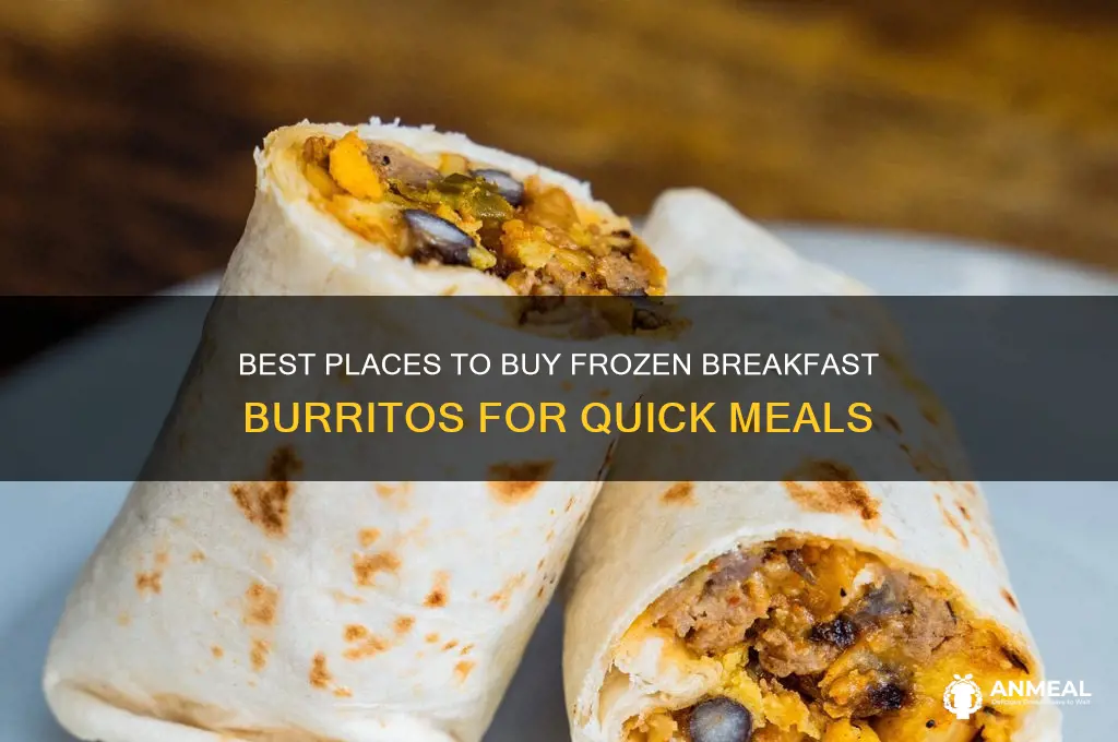 where to buy frozen breakfast burritos