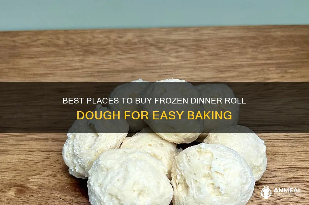 where to buy frozen dinner roll dough