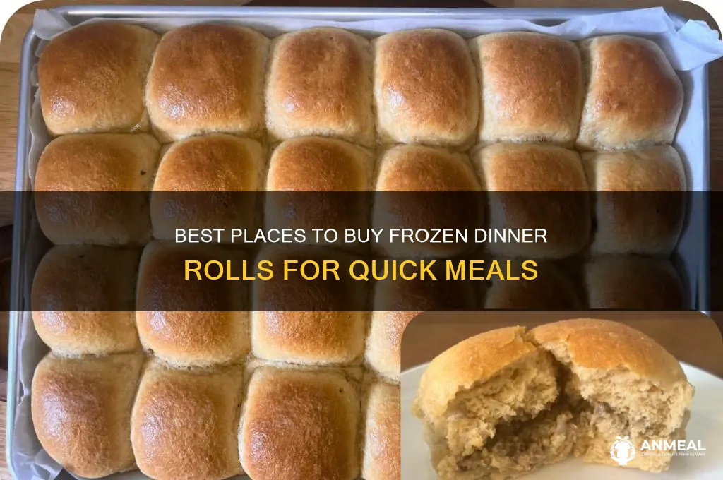 where to buy frozen dinner rolls