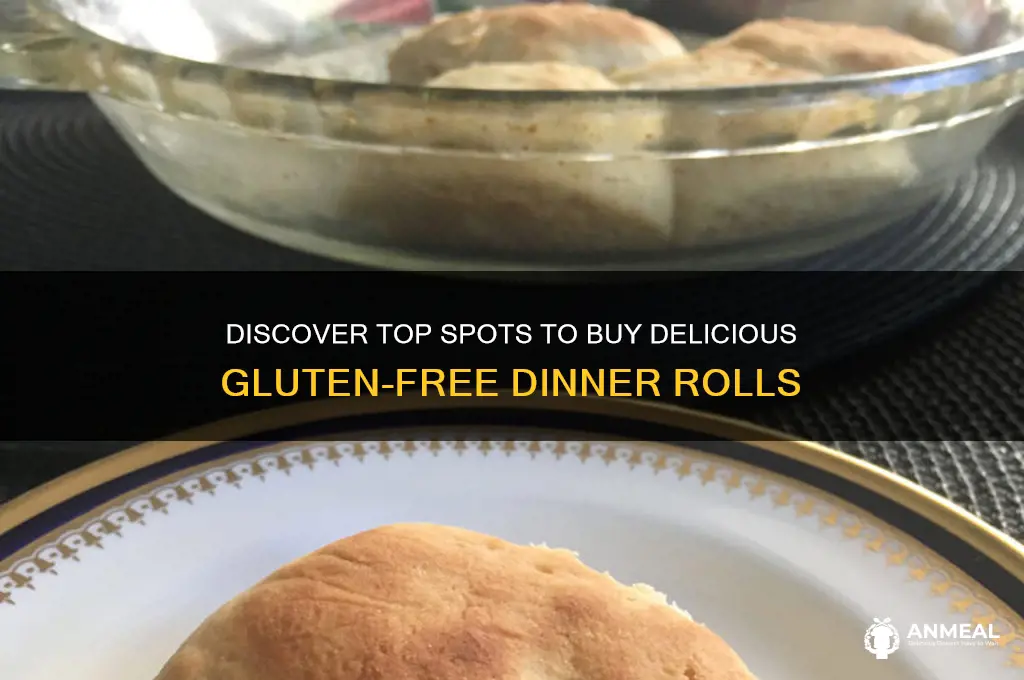 where to buy gluten free dinner rolls