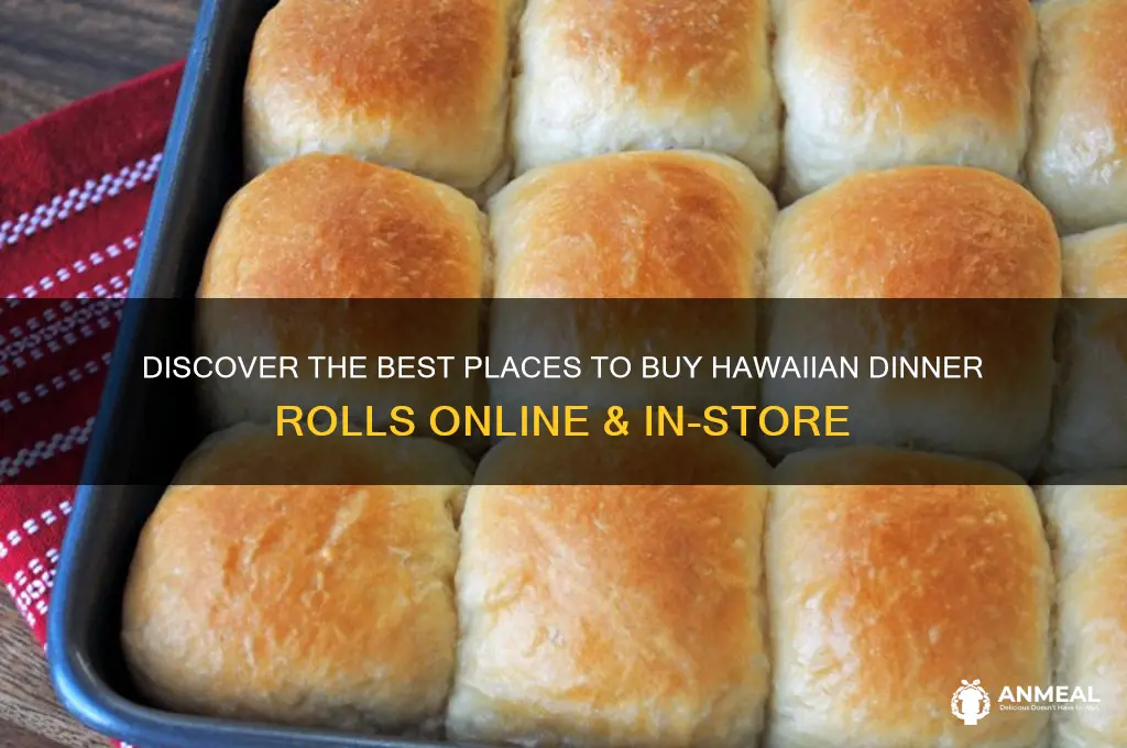 where to buy hawaiian dinner rolls