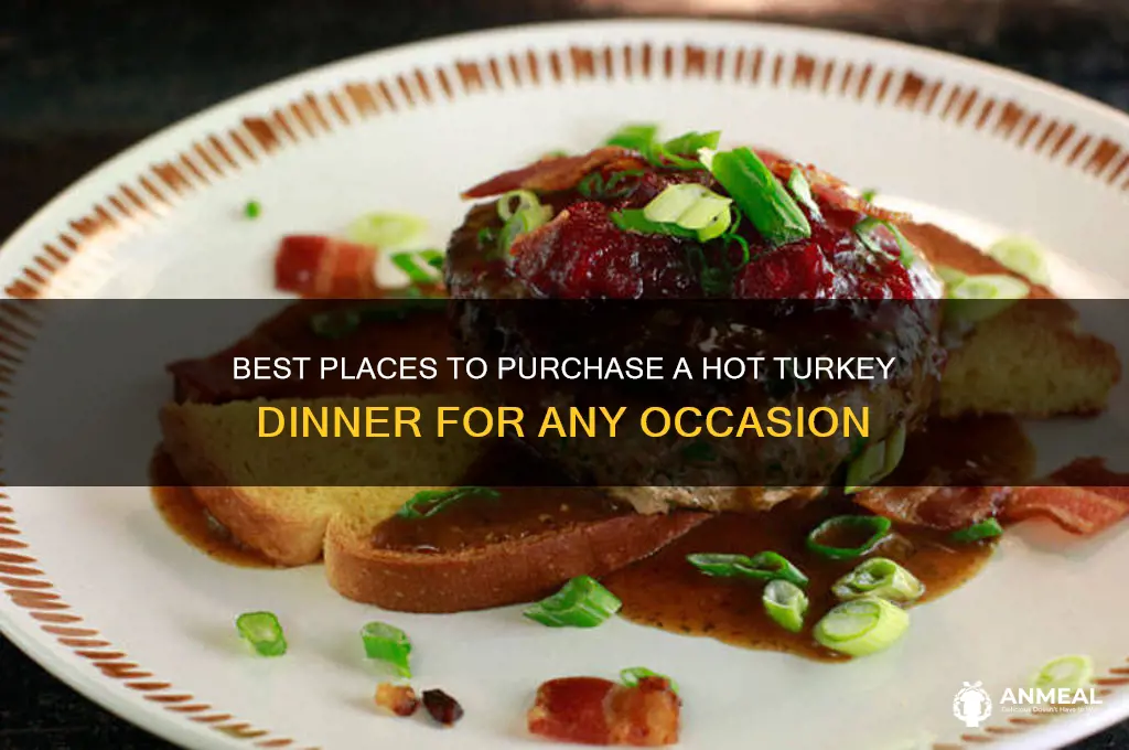 where to buy hot turkey dinner