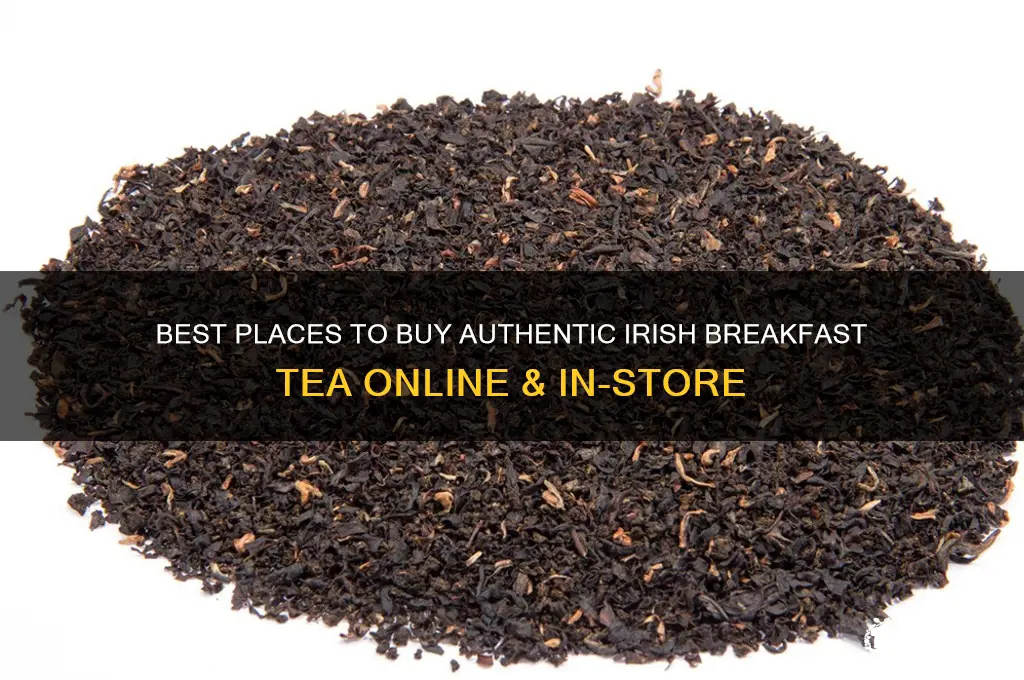 where to buy irish breakfast tea
