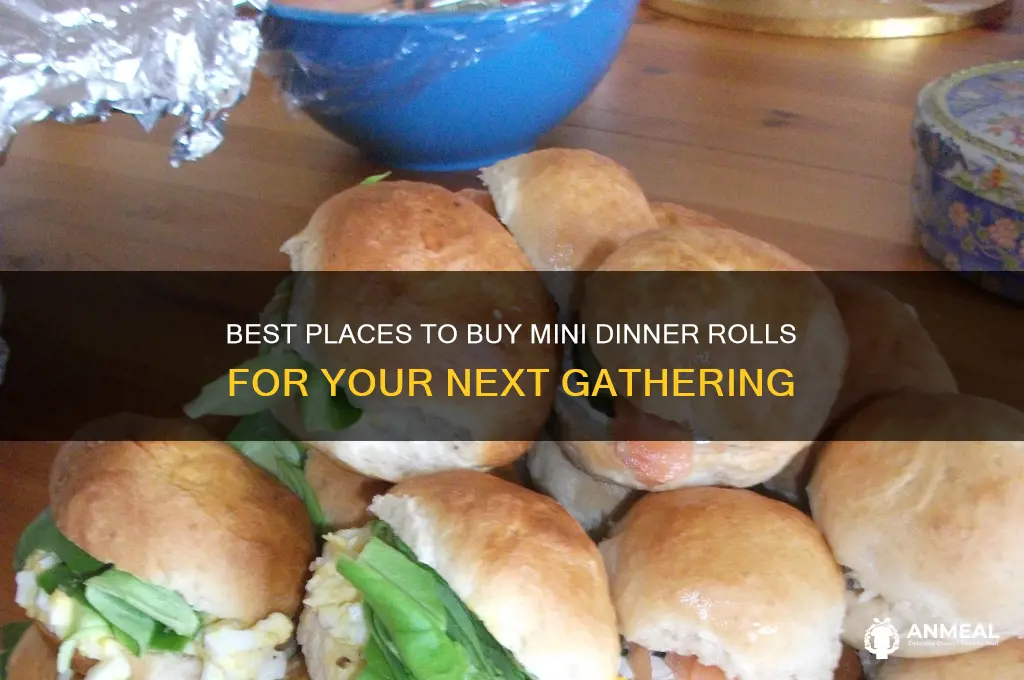 where to buy mini dinner rolls
