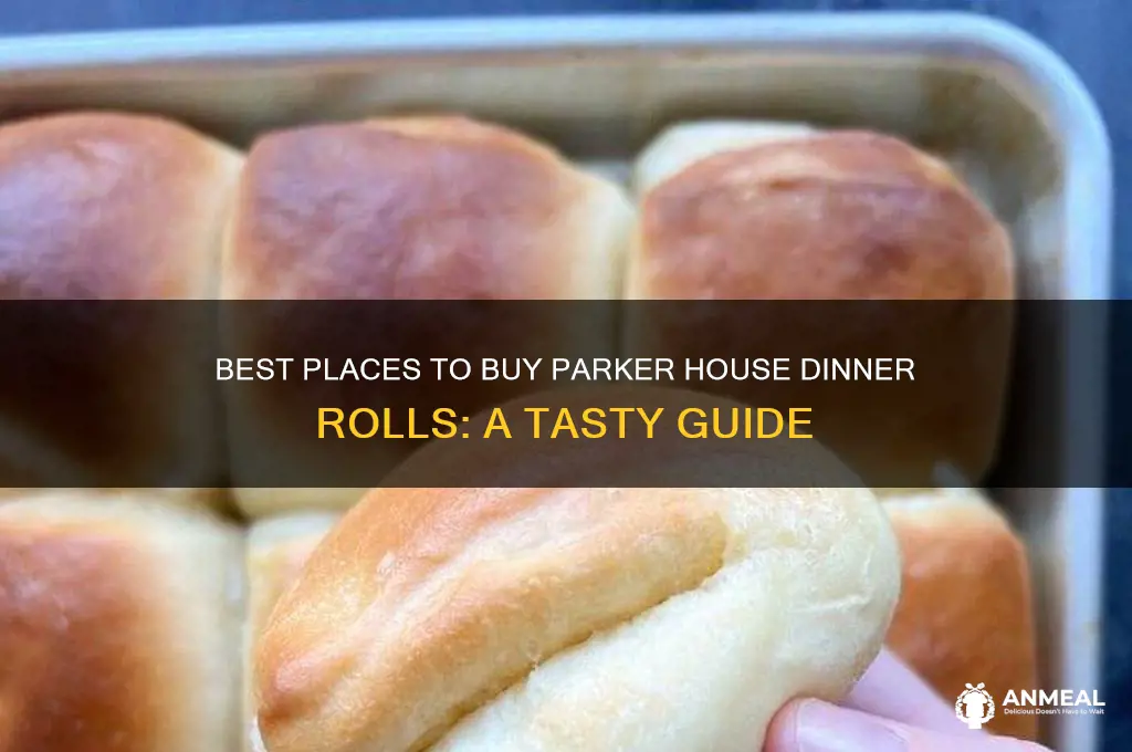where to buy parker house dinner rolls