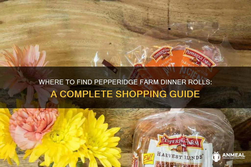 where to buy pepperidge farm dinner rolls