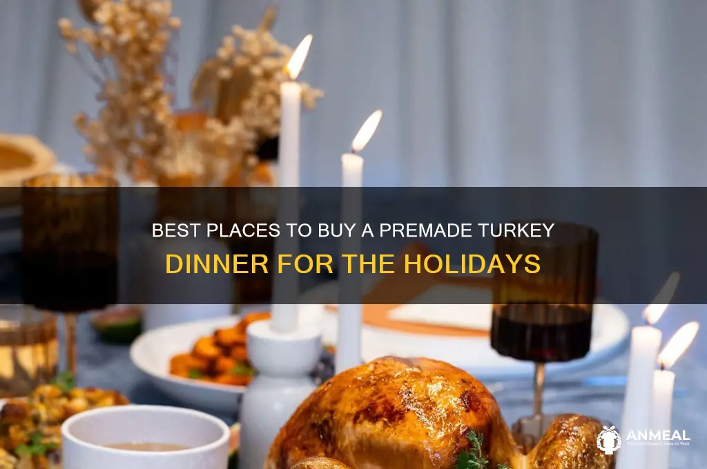 where to buy premade turkey dinner