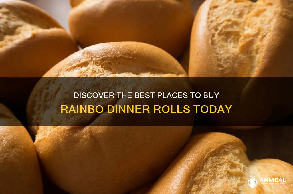 where to buy rainbo dinner rolls