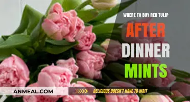 Where to Find Red Tulip After Dinner Mints: A Sweet Guide