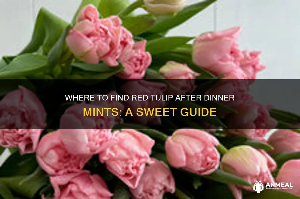 where to buy red tulip after dinner mints