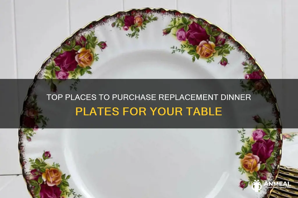 where to buy replacement dinner plates