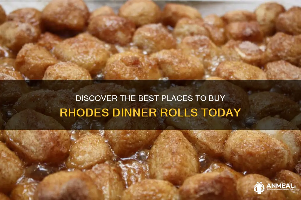 where to buy rhodes dinner rolls