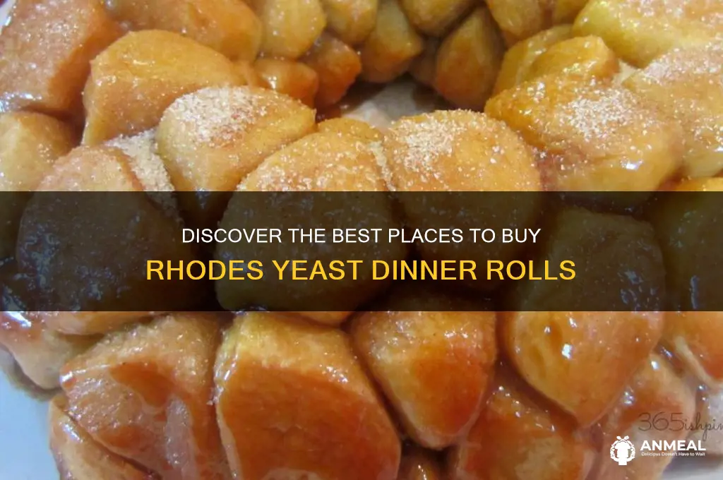 where to buy rhodes yeast dinner rolls