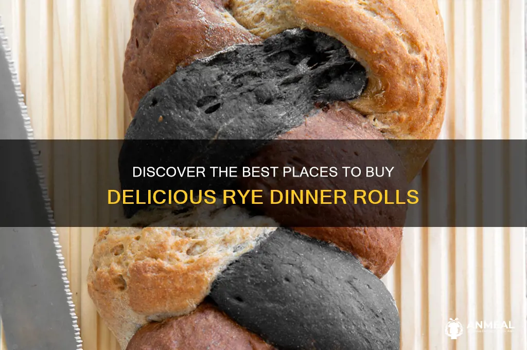 where to buy rye dinner rolls
