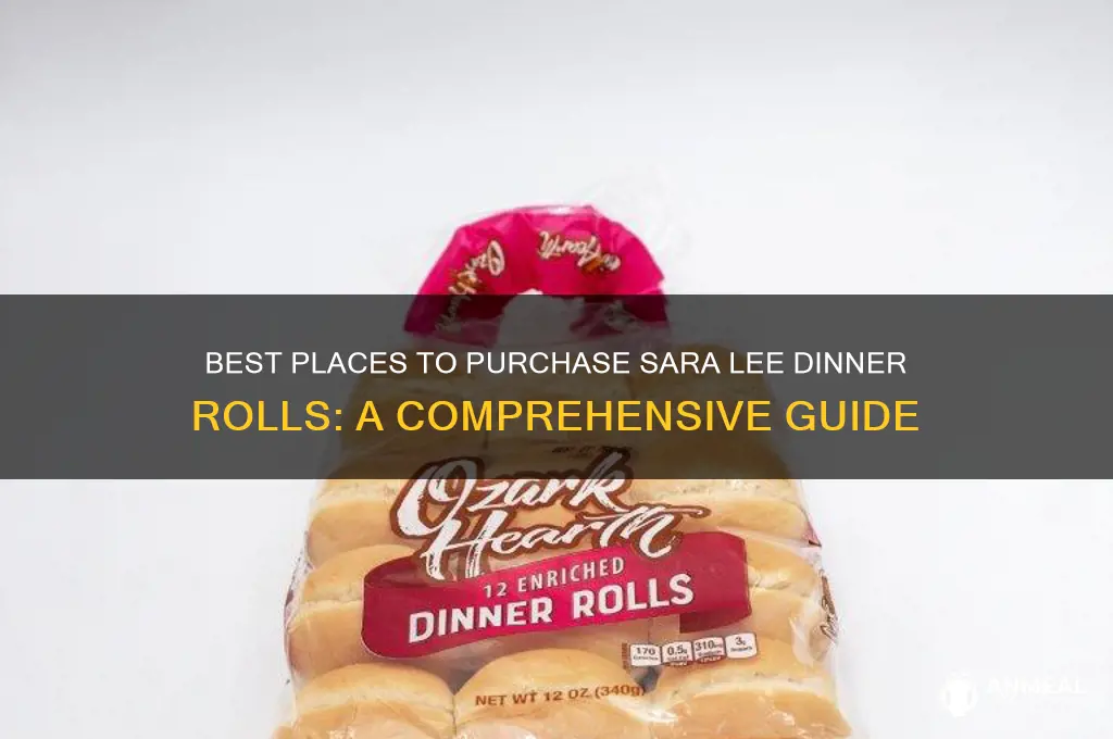 where to buy sara lee dinner rolls
