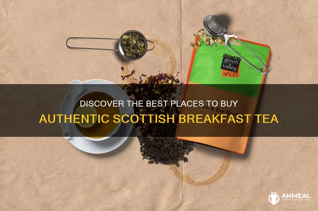 where to buy scottish breakfast tea