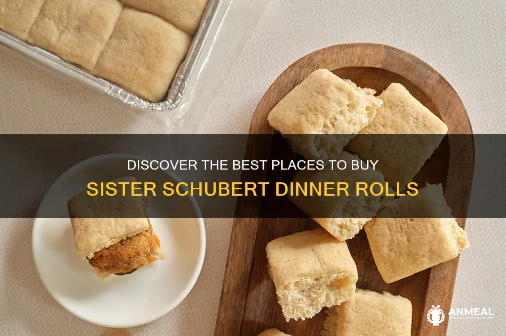 where to buy sister schubert dinner rolls