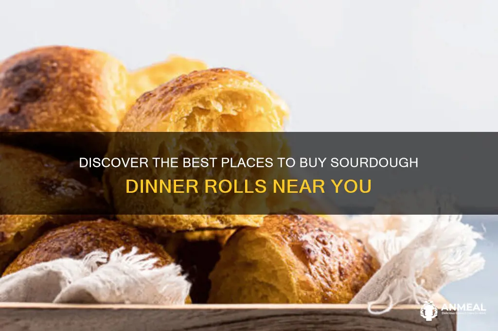 where to buy sourdough dinner rolls
