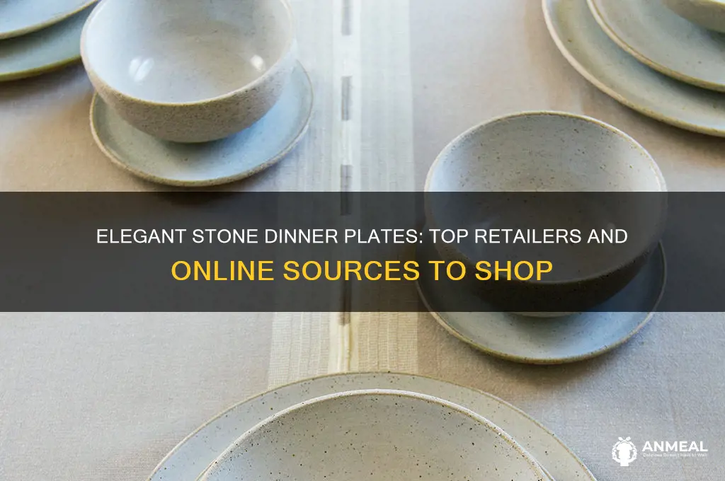 where to buy stone dinner plates