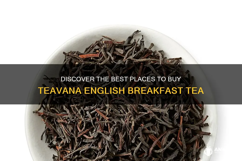 where to buy teavana english breakfast tea