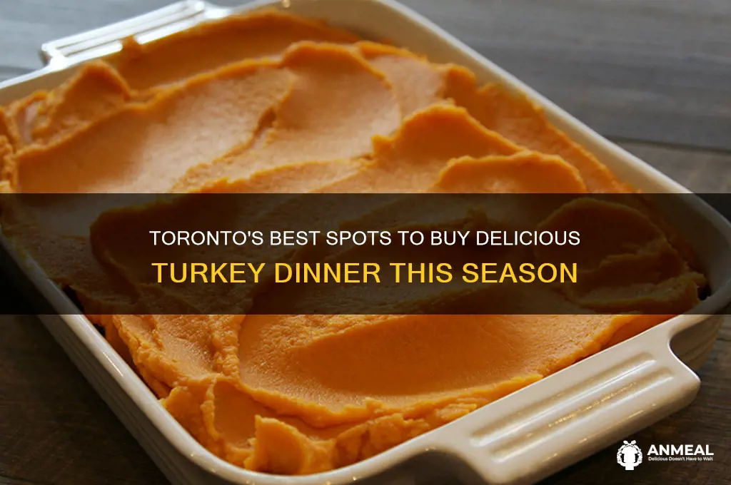 where to buy turkey dinner toronto
