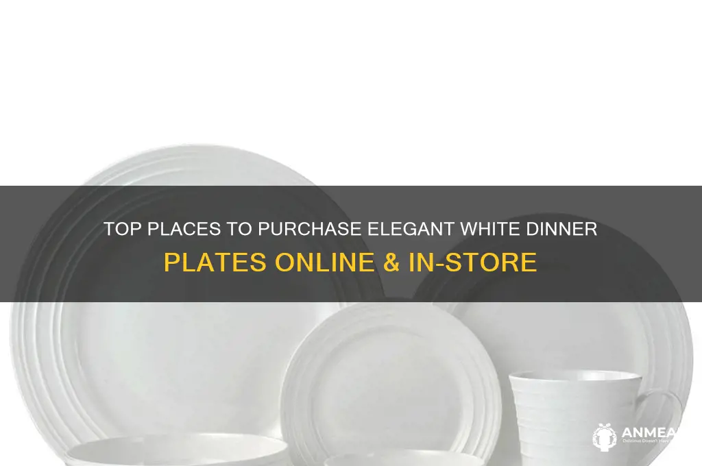 where to buy white dinner plates