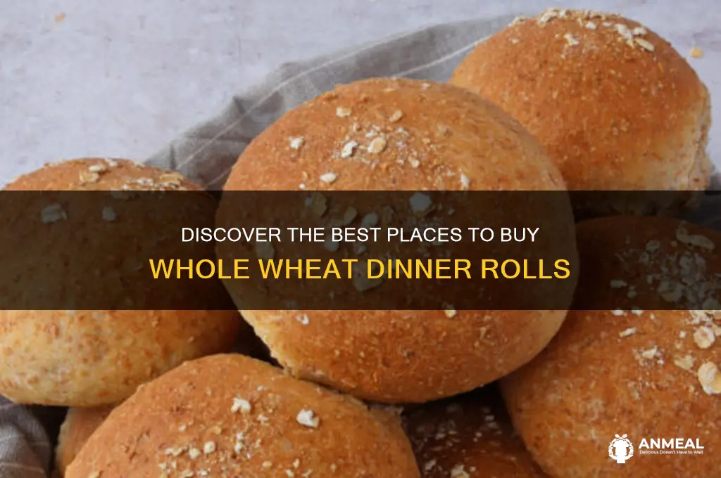 where to buy whole wheat dinner rolls