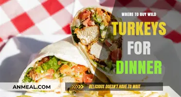 Best Places to Purchase Wild Turkeys for Your Dinner Table
