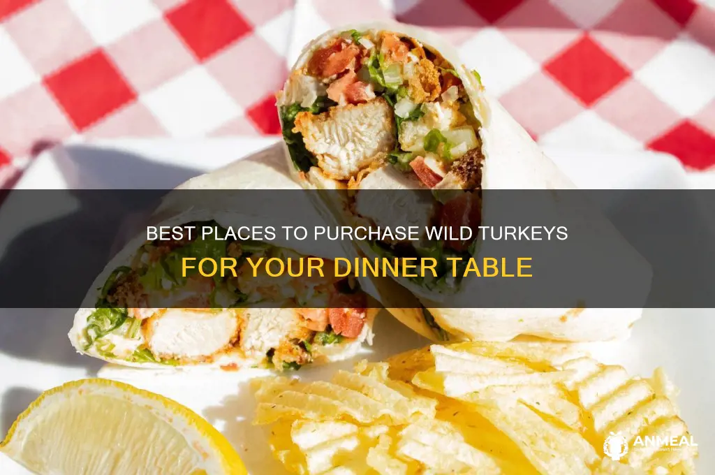 where to buy wild turkeys for dinner