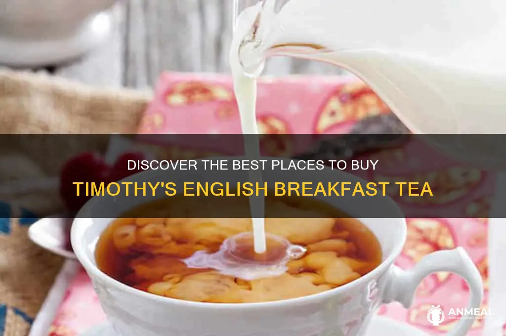 where to by timothy