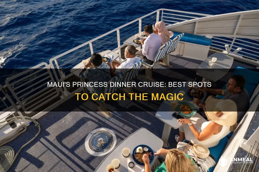 where to catch the princess dinner cruise maui