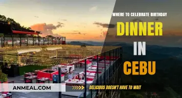 Top Cebu Birthday Dinner Spots: Celebrate in Style and Flavor