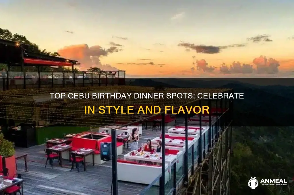 where to celebrate birthday dinner in cebu
